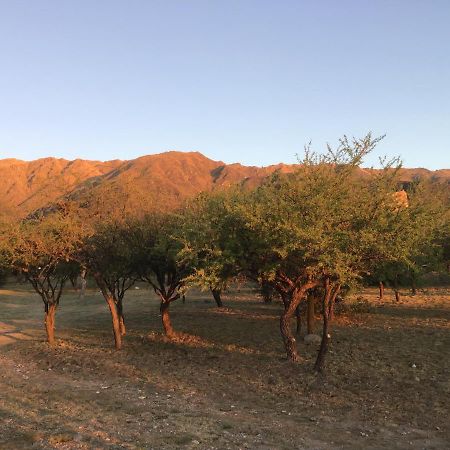 Cabanas Chacras Del Arroyo Vidal Carpintería Dış mekan fotoğraf