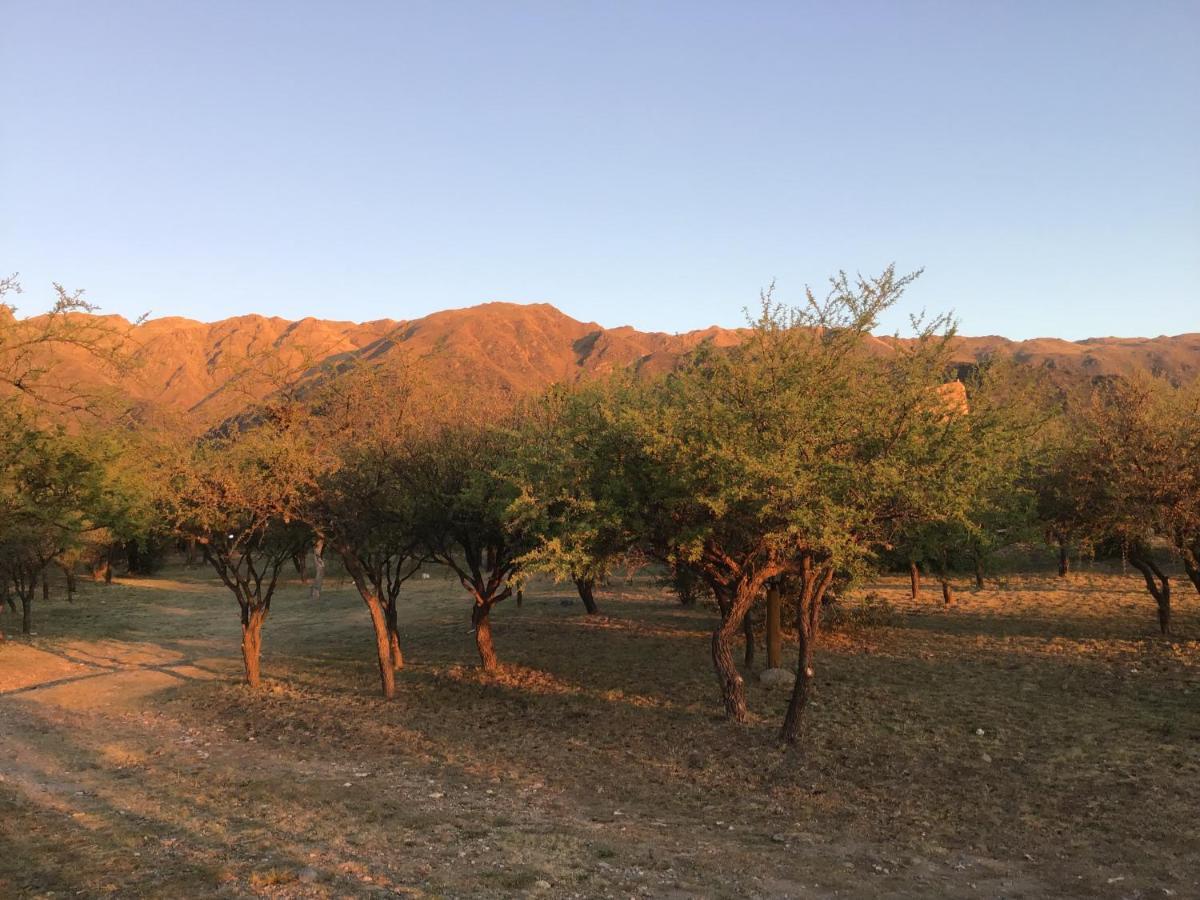 Cabanas Chacras Del Arroyo Vidal Carpintería Dış mekan fotoğraf