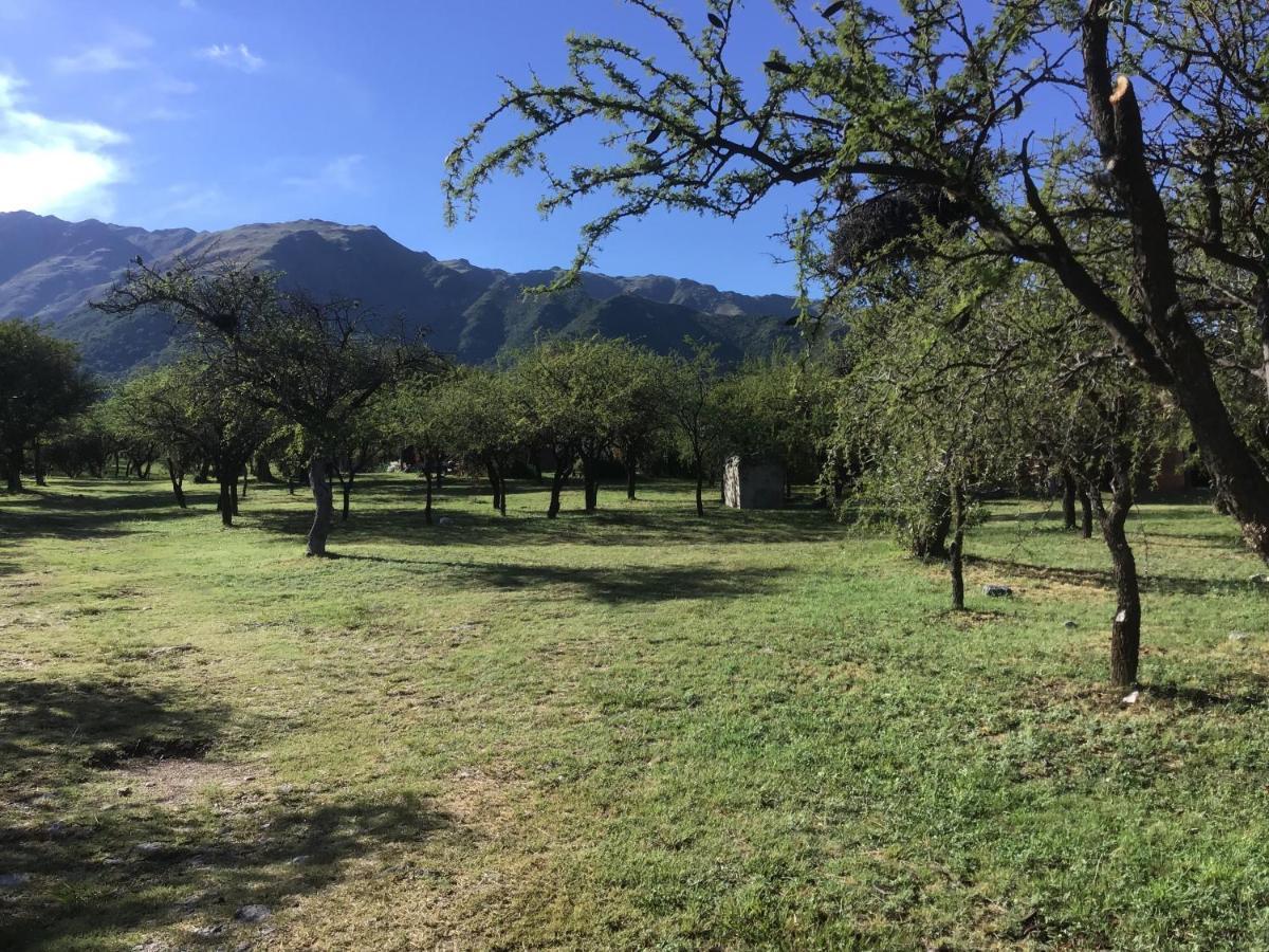 Cabanas Chacras Del Arroyo Vidal Carpintería Dış mekan fotoğraf