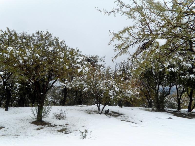 Cabanas Chacras Del Arroyo Vidal Carpintería Dış mekan fotoğraf