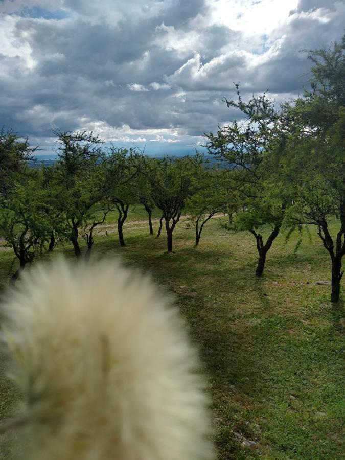 Cabanas Chacras Del Arroyo Vidal Carpintería Dış mekan fotoğraf