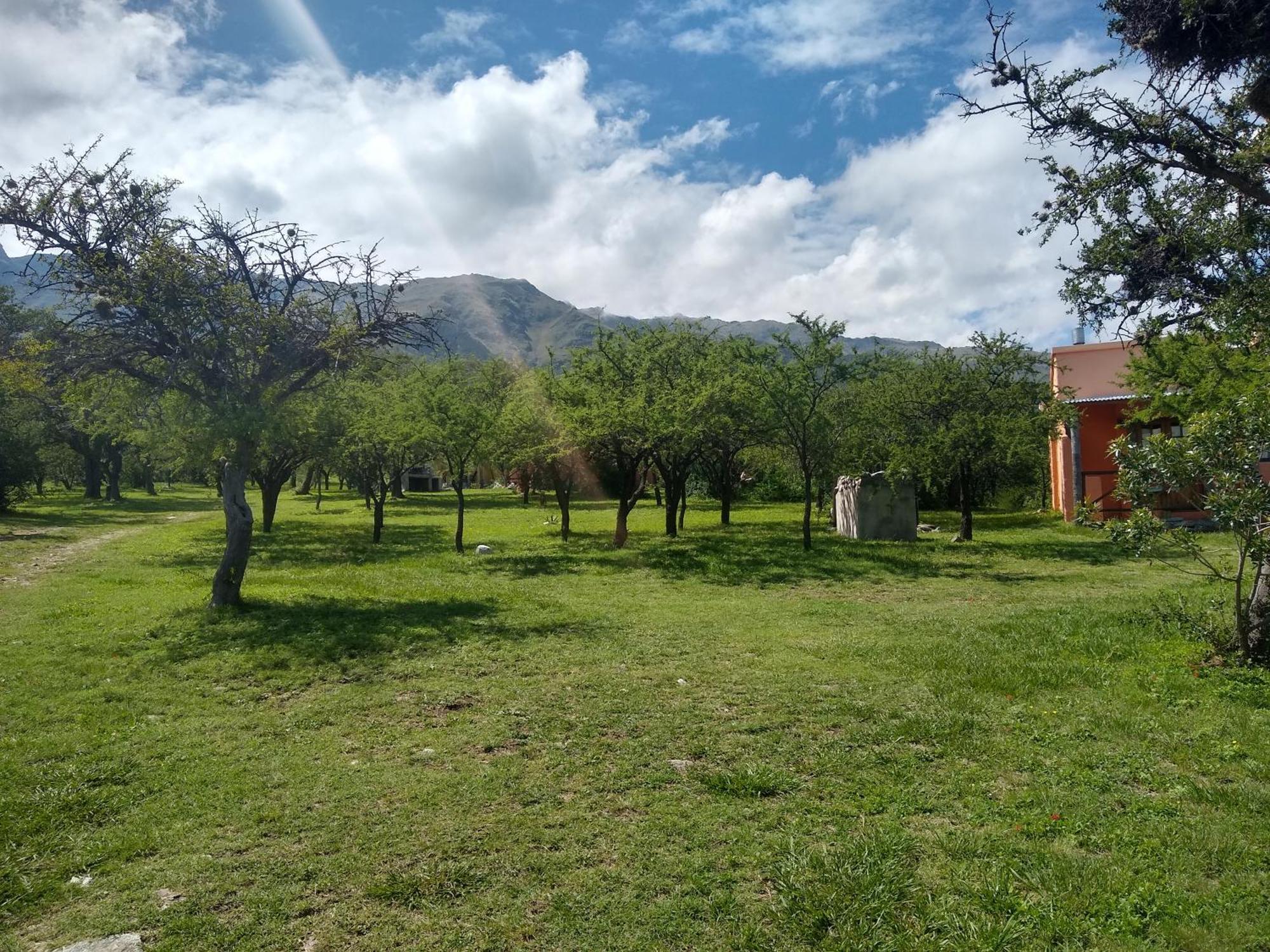 Cabanas Chacras Del Arroyo Vidal Carpintería Dış mekan fotoğraf